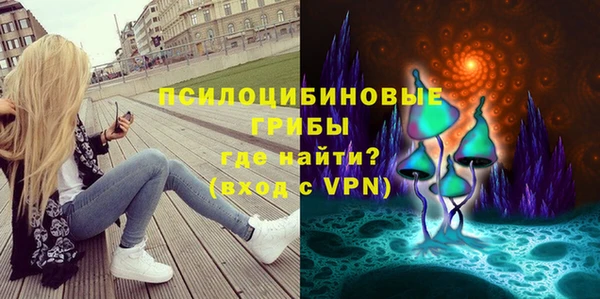 стаф Абдулино