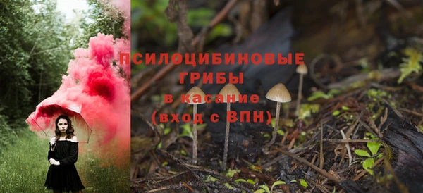 мескалин Покачи